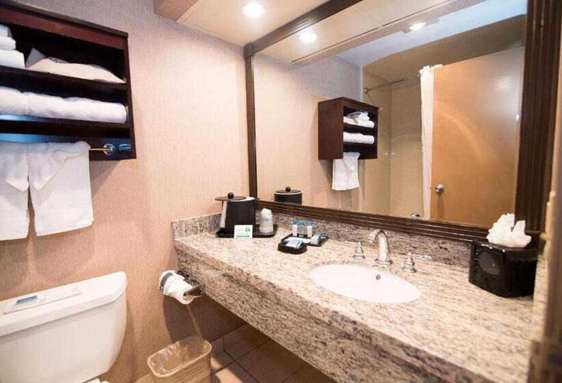 Стандартный Номер Кровать Кинг, Best Western Plus Redondo Beach Inn