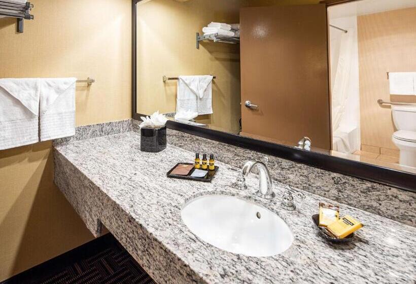 Номер Стандарт Кровать Кинг Адаптированный для Инвалидов, Best Western Plus Redondo Beach Inn