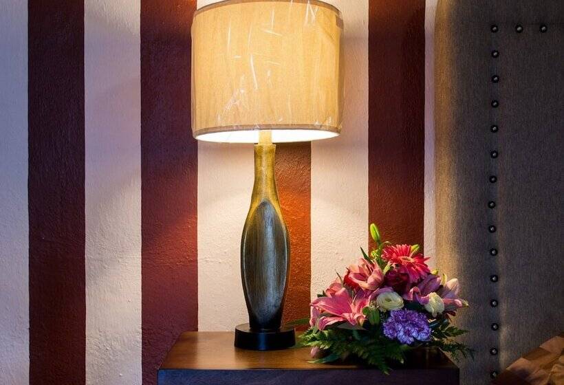 Suite, Posada De Roger