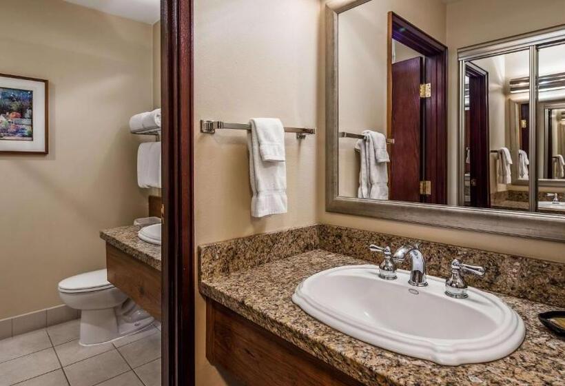 标准间, Best Western Plus Gold Country Inn