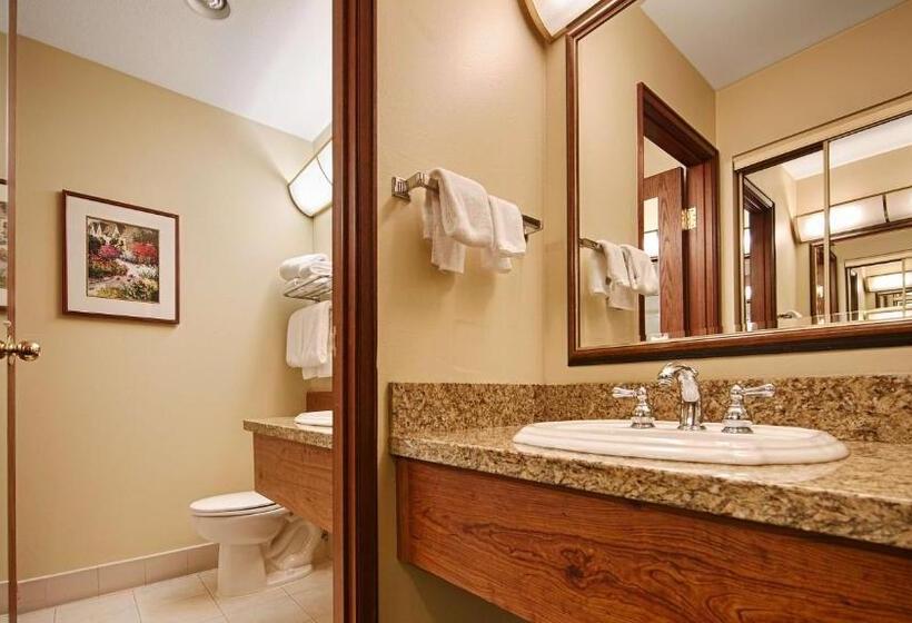 标准间, Best Western Plus Gold Country Inn