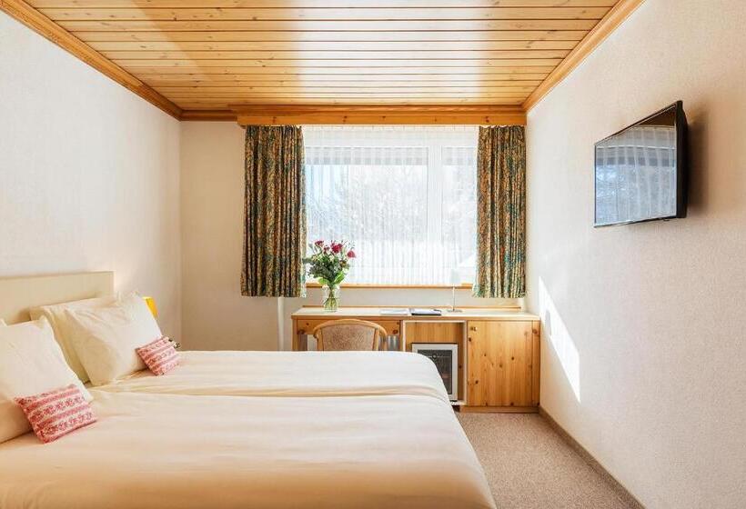 Номер Стандарт, Europa Suites St Moritz