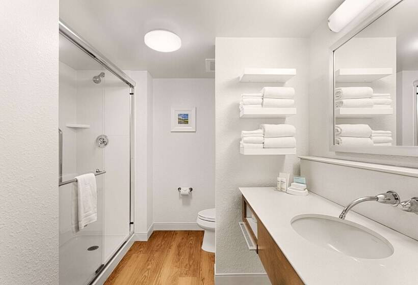 디럭스 룸, Hampton Inn Pawleys Island   Litchfield