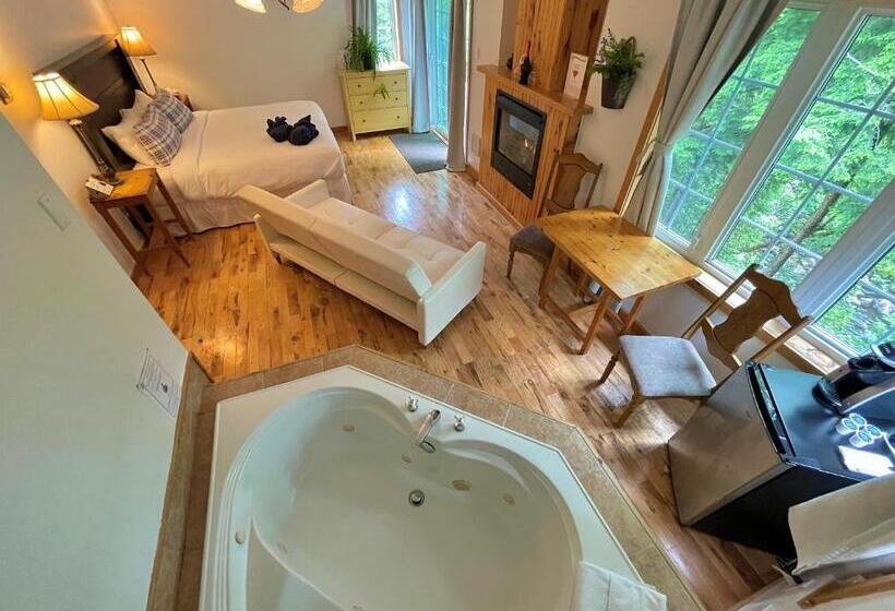 Студио Стандарт Кровать Кинг, Auberge Spa & Beaux Reves