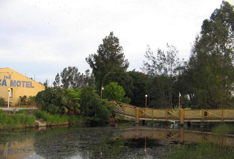 标准间带游泳池, The Nambucca Motel