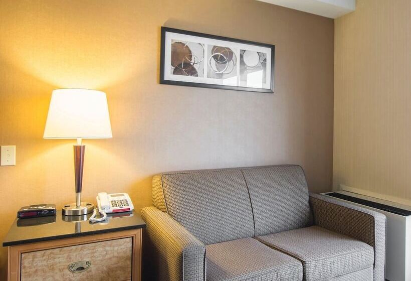 Номер Deluxe, Comfort Inn Airport East