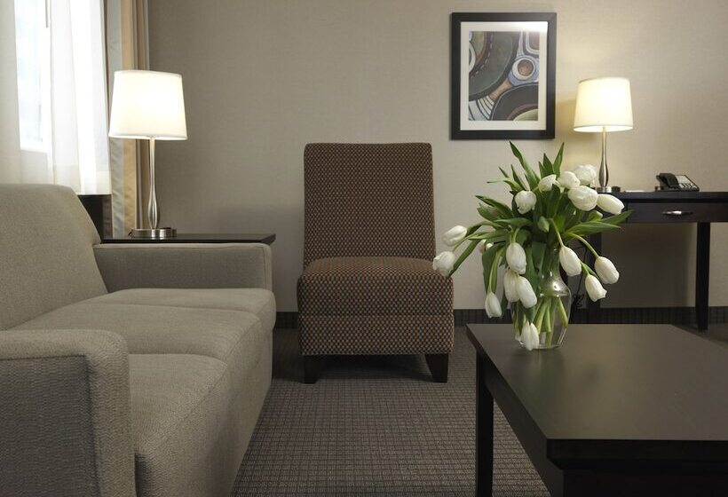 سوئیت 2 خوابه, Coast Calgary Downtown Hotel & Suites By Apa