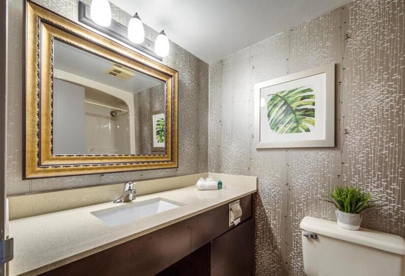 اتاق استاندارد با تخت دوبل, Monte Carlo Inn Airport Suites