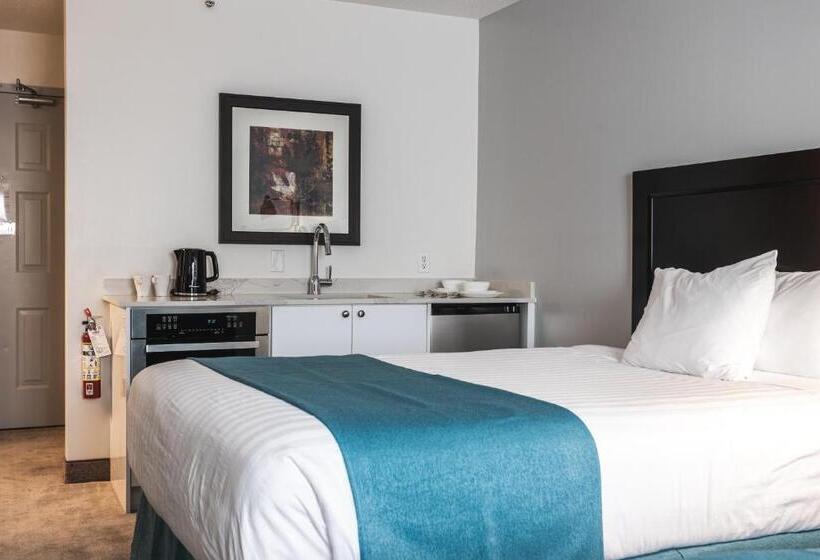 スタンダードルーム, Ramada By Wyndham Surrey/langley