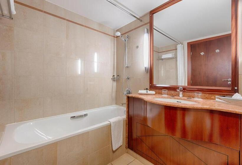 Cameră Standard, Occidental Paris Levallois