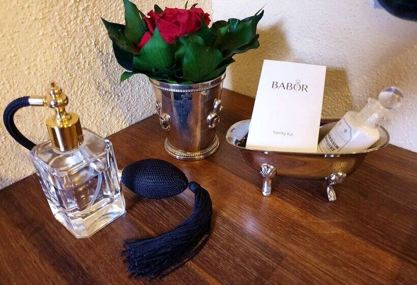 Одноместный Номер Basic, Burghotel Auf Schönburg