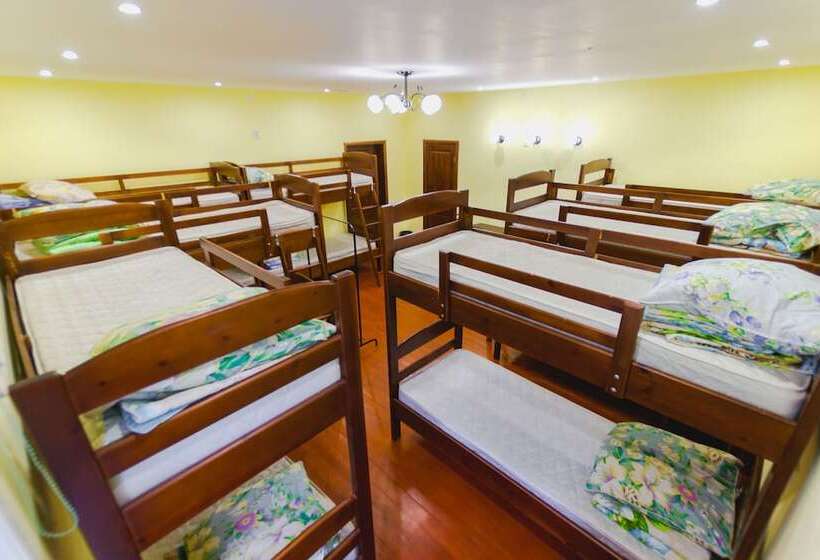 共用房间的床, Hostel U City