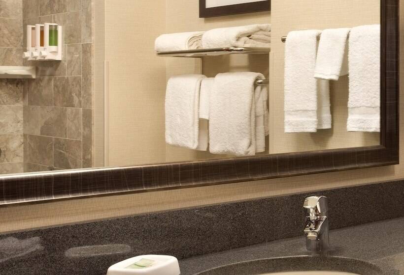 Люкс Адаптированный для Инвалидов, Drury Inn & Suites St. Louis Brentwood