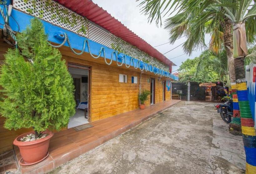 آپارتمان سوپریور 1 خوابه, Posada Amaripucci