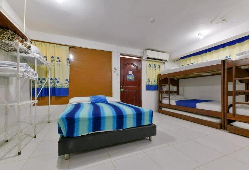 آپارتمان سوپریور 1 خوابه, Posada Amaripucci