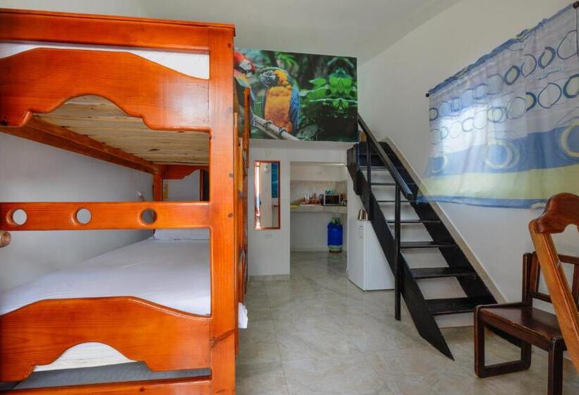 استودیوی استاندارد, Posada Amaripucci