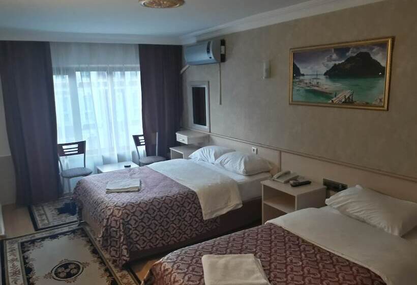 اتاق استاندارد, Hamit Hotel Istanbul