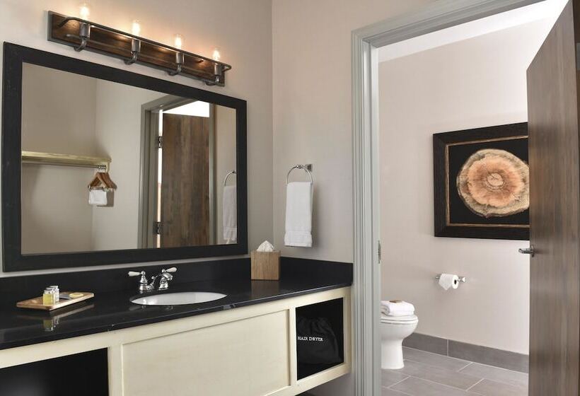 자쿠지 스위트, Stoney Creek Hotel Tulsa   Broken Arrow