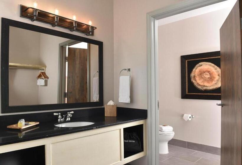 Люкс с гидромассажем, Stoney Creek Hotel Tulsa   Broken Arrow