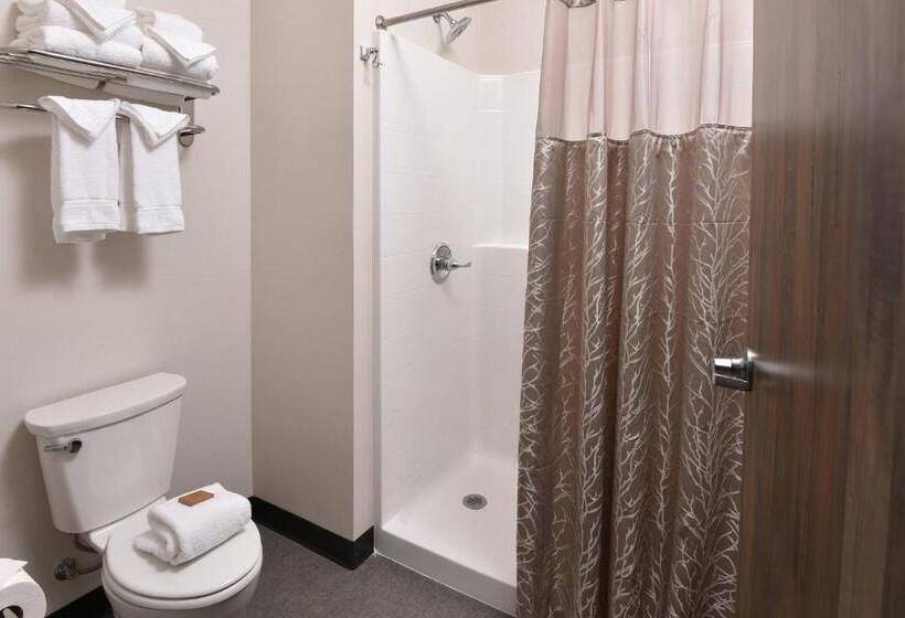 Полулюкс, Stoney Creek Hotel Tulsa   Broken Arrow