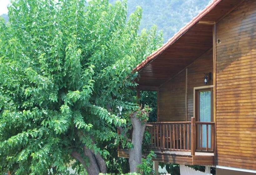 Студия Стандарт, Sunset Boutique Hotel & Apartments