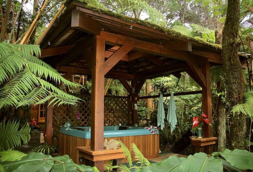 Номер Стандарт, Volcano Rainforest Retreat