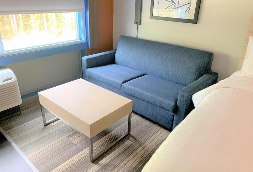 适合残疾人士使用的套间, Holiday Inn Express & Suites   Wilmington West   Medical Park, An Ihg