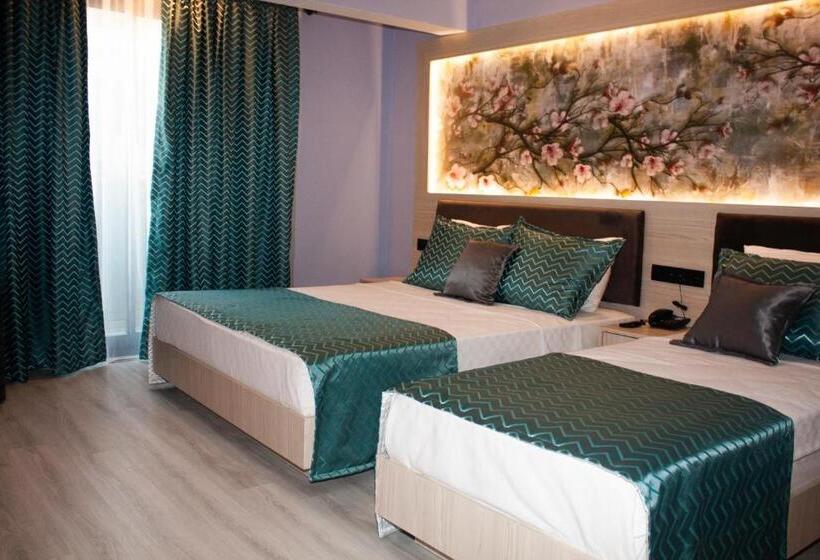 디럭스 룸, Livaneli Boutique Otel