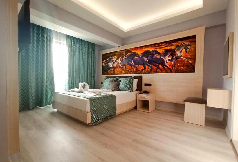 이코노미 룸, Livaneli Boutique Otel
