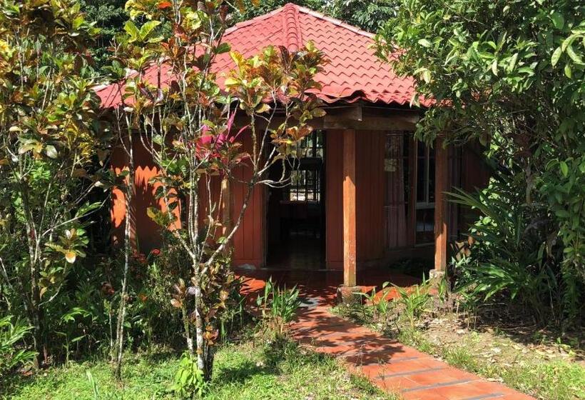 Четырехместный Номер Стандарт, Villas Vista Arenal