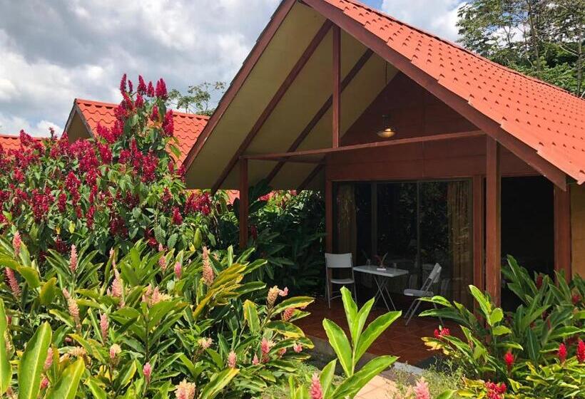 Четырехместный Номер Стандарт, Villas Vista Arenal