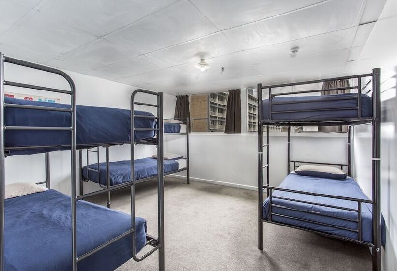 Номер Стандарт, Attic Backpackers