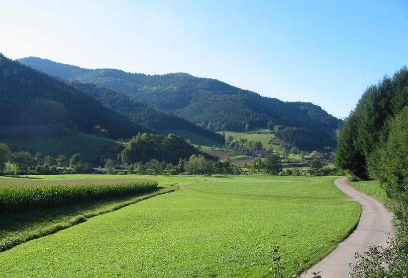 이코노미 룸, Rommelehof