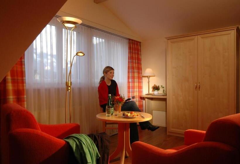 Номер Стандарт, Alpenblick Hotel & Restaurant Wilderswil By Interlaken