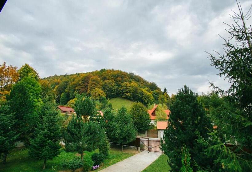 Полулюкс Одноместный с Террасой, Casa Natalia