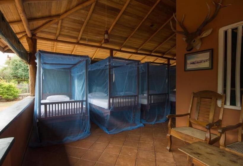 Бунгало Стандарт, Yala Caravan Village