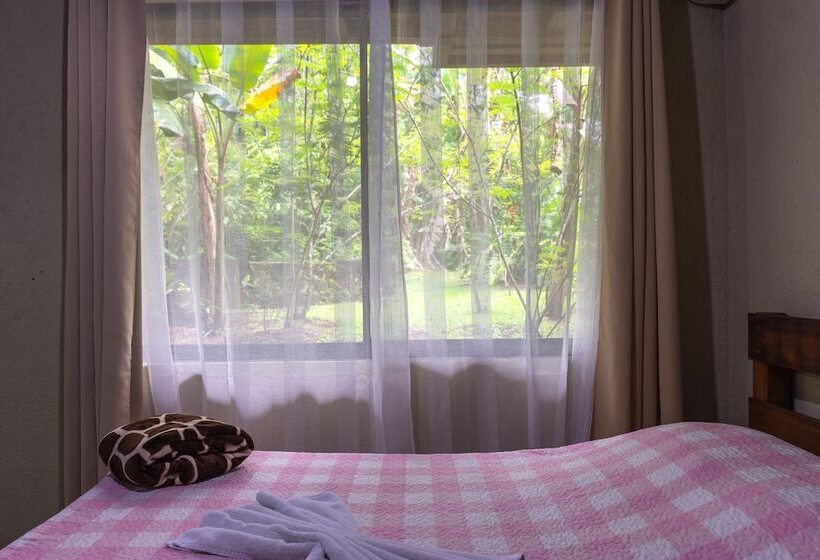 수피리어 룸, Arenal Monara