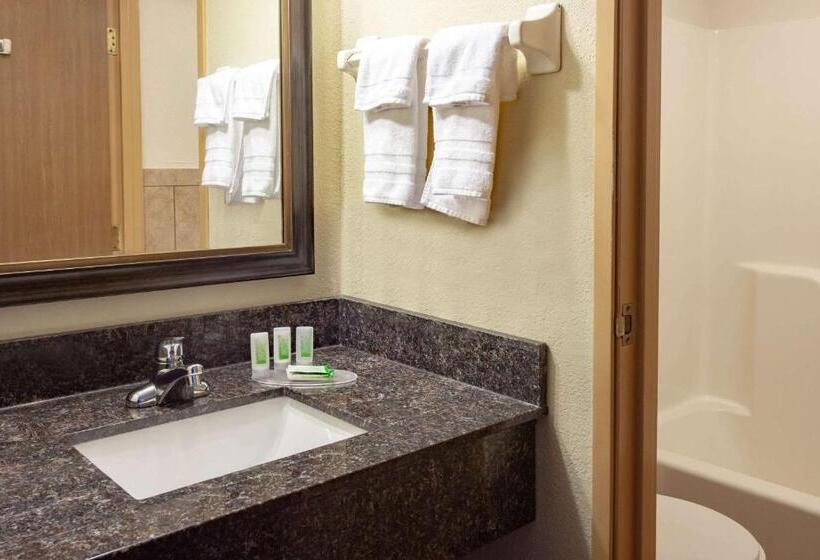 Номер Deluxe, Americinn By Wyndham Ham Lake