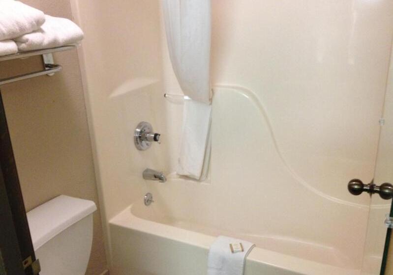 Студия Superior, Baymont Inn & Suites By Wyndham San Marcos