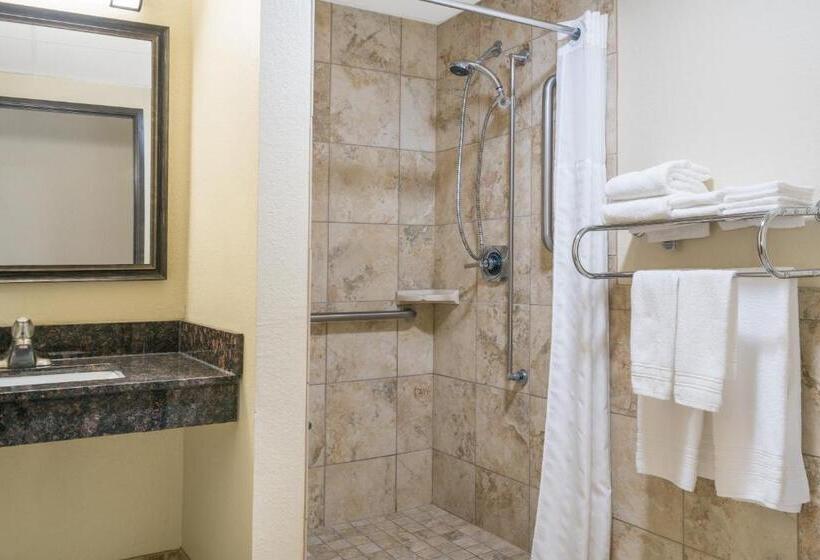 장애인을 위한 킹사이즈 침대 스탠다드 룸, Days Inn & Suites By Wyndham Baxter Brainerd Area