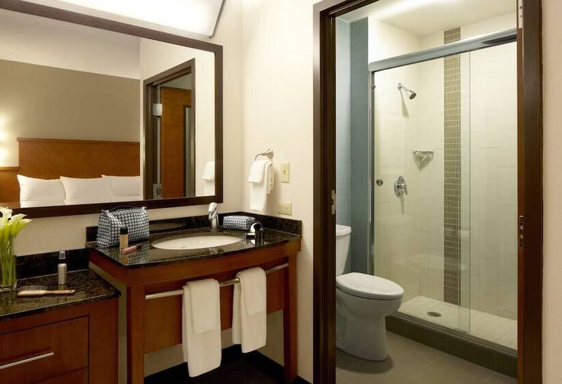 Номер Стандарт 2 Двуспальные Кровати, Hyatt Place Atlanta Buckhead