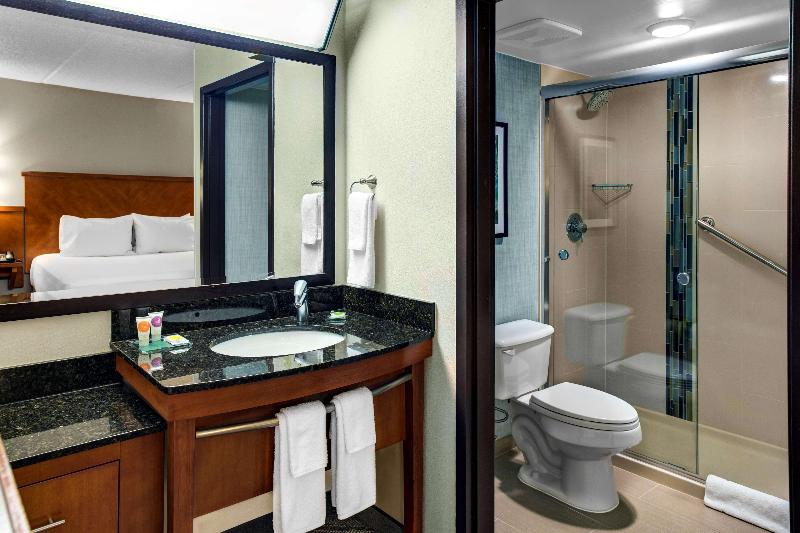 스탠다드 룸 킹사이즈 침대, Hyatt Place Denver Airport