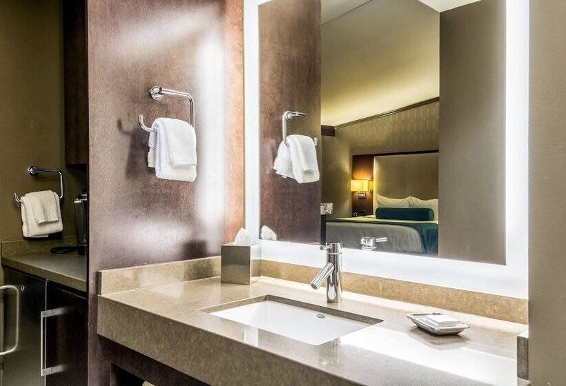 Люкс Адаптированный для Инвалидов, Oasis Hotel & Conv. Center, Ascend Hotel Collection