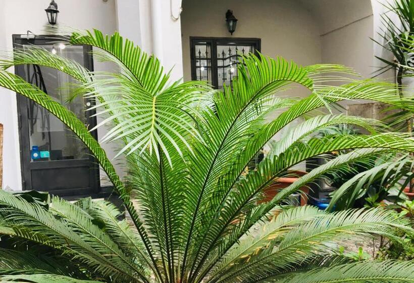 اتاق لوکس با وان آب گرم, B&b Fiumara
