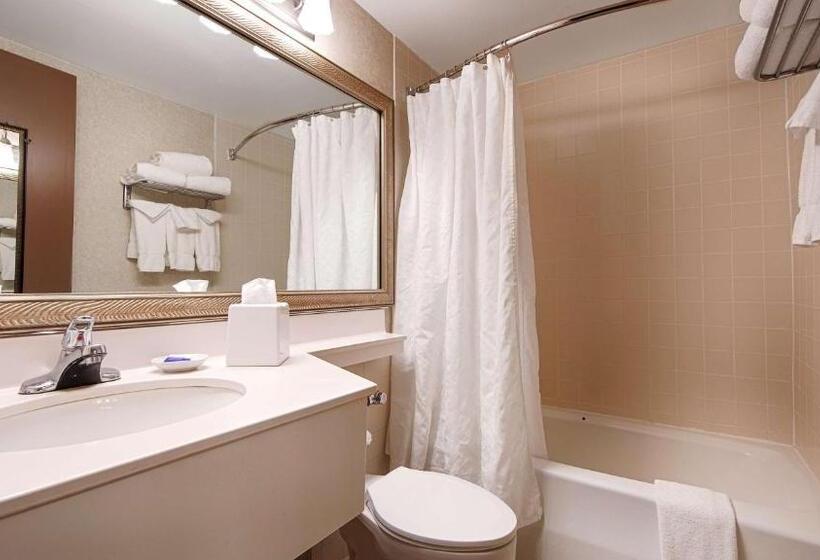 适合残疾人士使用的带超级大床的标准间, Best Western Plus Chelmsford Inn