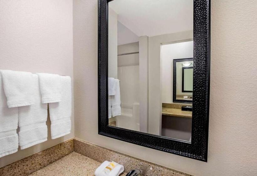 Номер Стандарт Кровать Кинг Адаптированный для Инвалидов, La Quinta By Wyndham Houston Baytown East