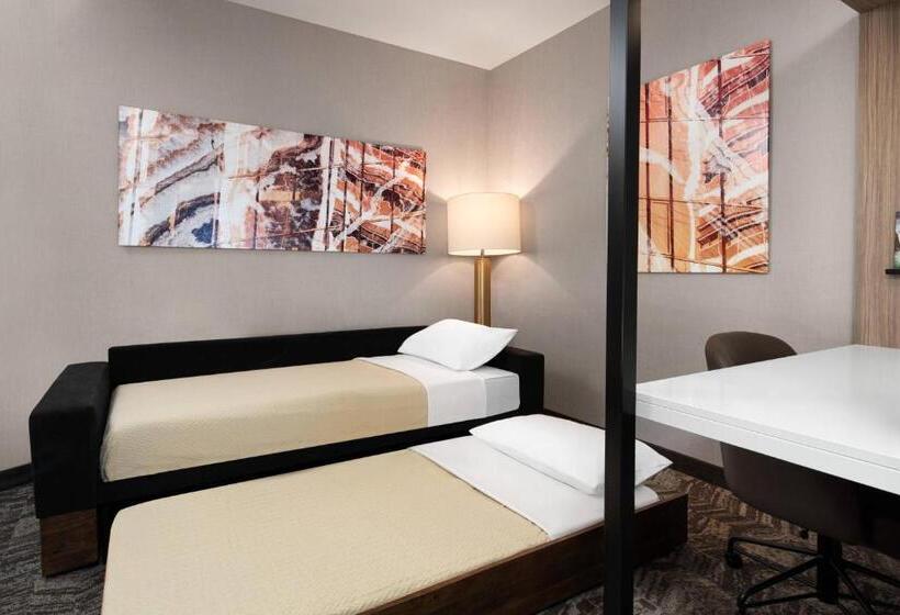キングサイドベッドのスタンダードワンルーム, Springhill Suites By Marriott St. George Washington