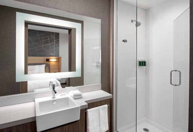 キングサイドベッドのスタンダードワンルーム, Springhill Suites By Marriott St. George Washington