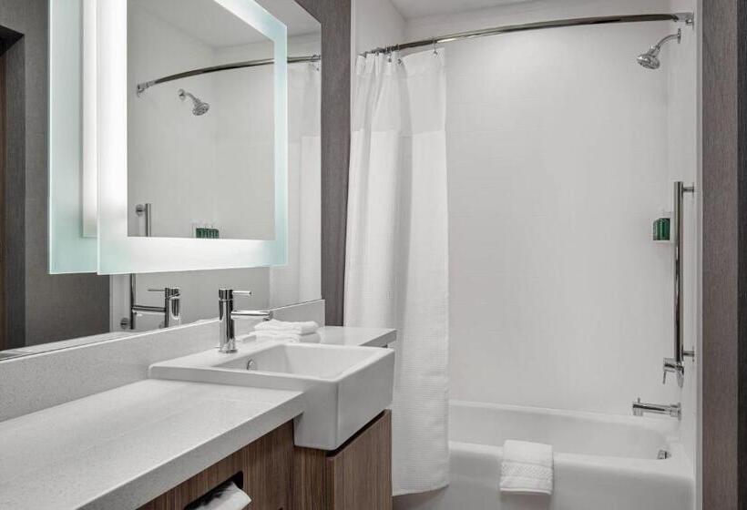スタンダードスタジオ, Springhill Suites By Marriott St. George Washington