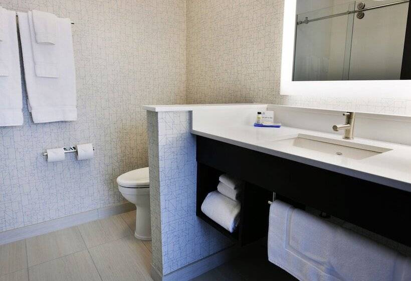 适合残疾人士使用的套间, Holiday Inn Express & Suites Jersey City   Holland Tunnel, An Ihg